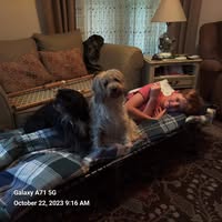 Martha Brown's profile image