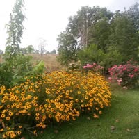 Jean Hardy's profile image