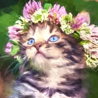 Shelley Walter Kirk's profile image