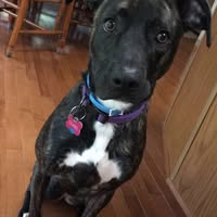 Lorrie Kendall's profile image
