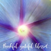 Linda Grawemeyer's profile image