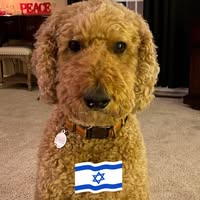 Judy Loyall's profile image