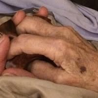 Connie Crume Boone's profile image