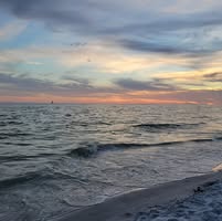 Linda Schubert's profile image