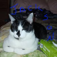 Joyce Tharp's profile image