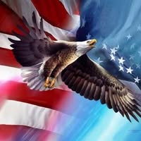Chris Vogelgesang's profile image