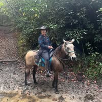 Susan Pierson's profile image