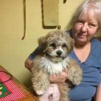 Janet M Hillerich's profile image