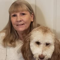 Barb Contreras's profile image