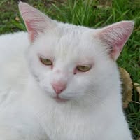 Eric Rib's profile image