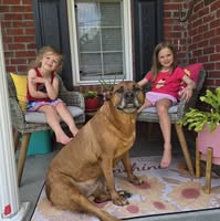 Stacy Dones's profile image
