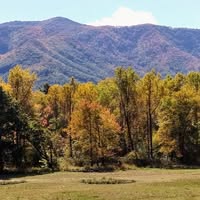 Debbie Hoke's profile image