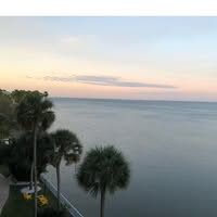 Linda Allison's profile image