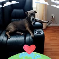 Eva Bergoine's profile image