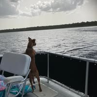 Kathryn Reed's profile image