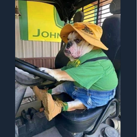 Judith Frances's profile image