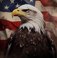Charles Bogedain Jr.'s profile image