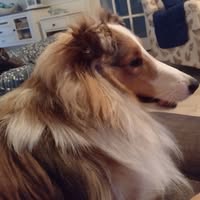 Michele Peel's profile image