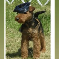 Kathy Leinthall's profile image