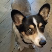 Brent Goldstein's profile image