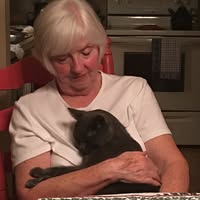 Kay Vierk's profile image