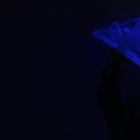 Donna Moody's profile image
