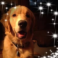 Denise Sanfilippo's profile image