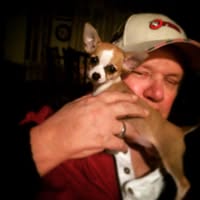 Deborah Marshall's profile image