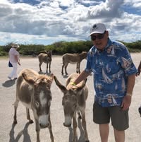 Dick Wdowiak's profile image