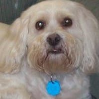 Mary Weaver's profile image