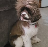 Wendy Peace's profile image
