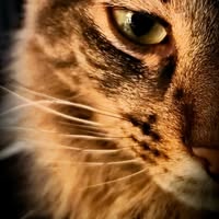 Rachel Conover's profile image