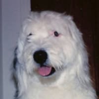 Penny McCurdy's profile image