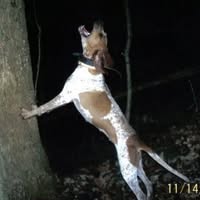 Jim Fraze's profile image