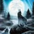 Karen Savoie Titus's profile image