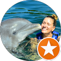 Krista Vezain's Profile Image