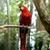 Rajendra Prasad's profile image