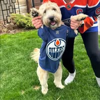 Vanessa Hadley-Towle's profile image