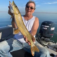 Daniel Haines's profile image