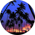 https://ddjkm7nmu27lx.cloudfront.net/398104456/ac31666af7a647189f65868eda5f1cc4.png's Profile Image