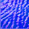 Chandler C.'s profile image