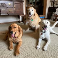 Cathy Dow Fussell's profile image
