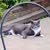 Tracy Gambrill's profile image