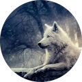 Lonya's Profile Image