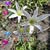 Joy Merriman's profile image