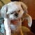 Joan Weil's Profile Image