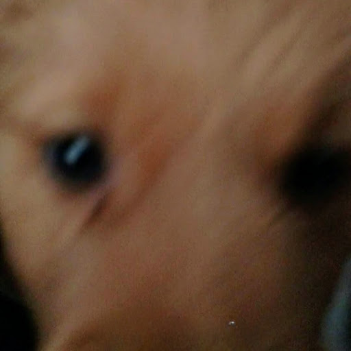 Lance's profile image