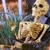 Darrin Cassidy's profile image