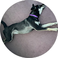 Norm Hanevich's Profile Image