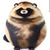 Abigail Harter's profile image